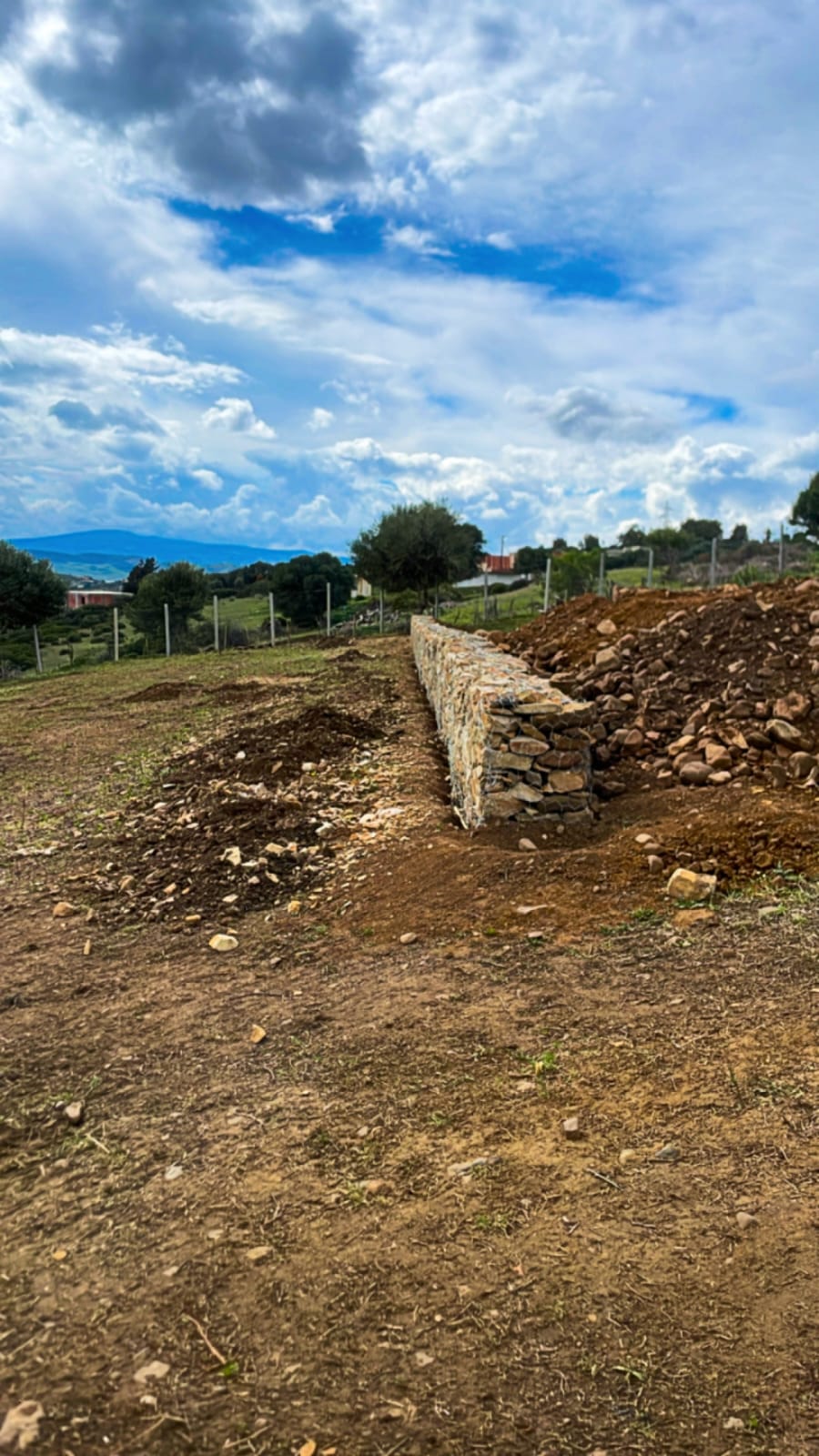 Réalisation Steman B